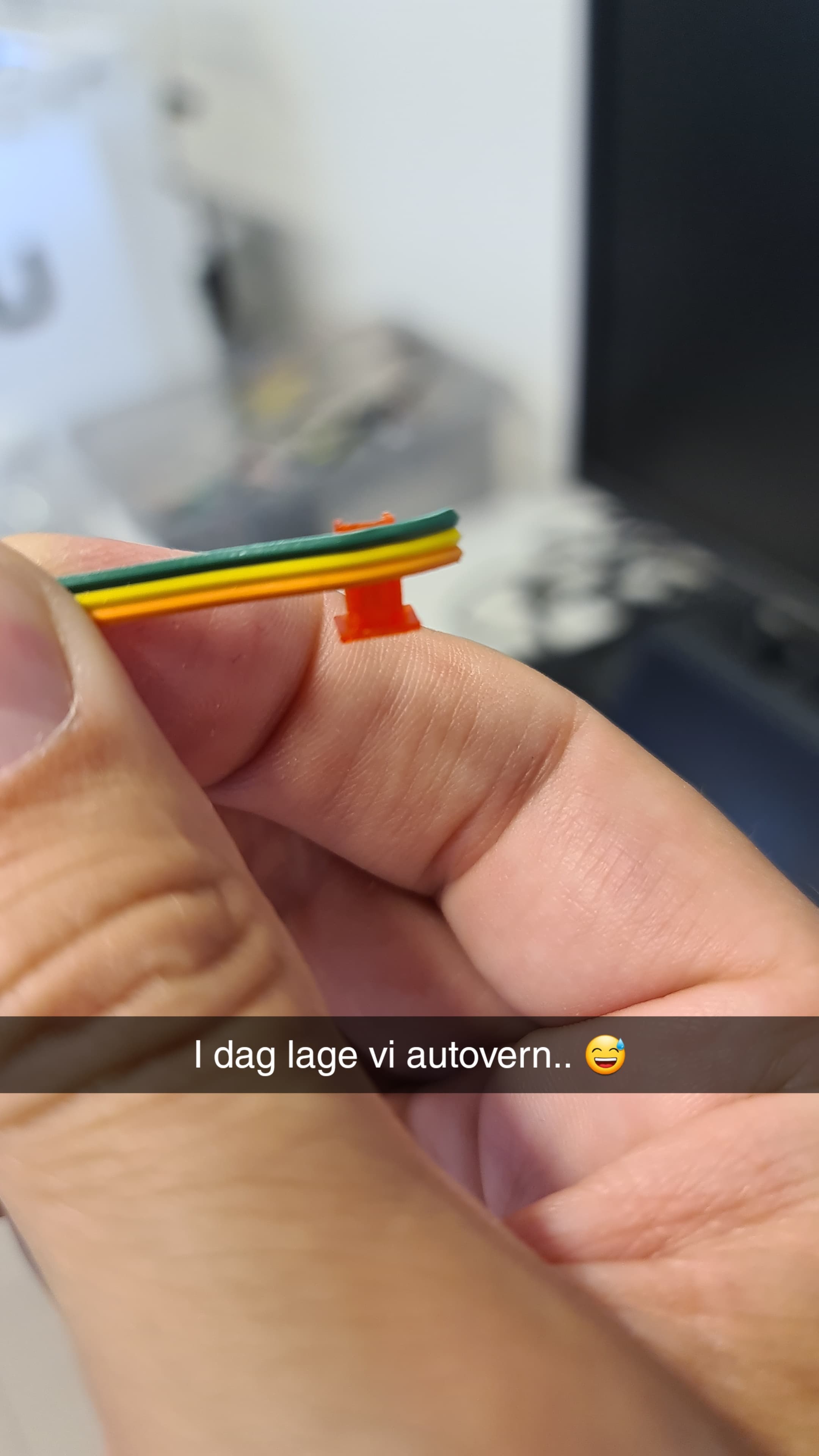 Autovern